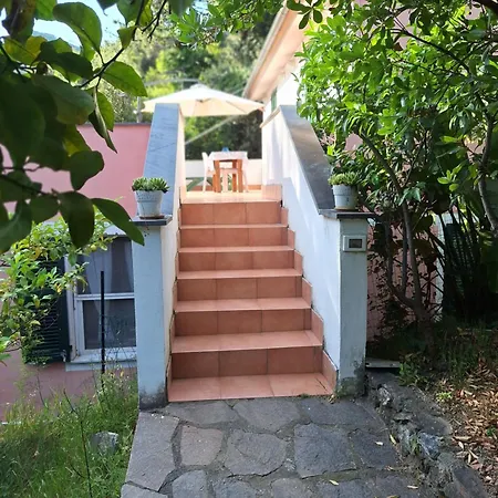 Apartman Terrace On The Monterosso al Mare