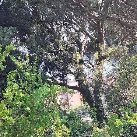 Terrace On The * Monterosso al Mare