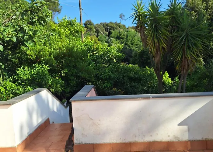 Terrace On The