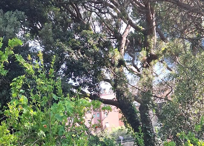 Terrace On The * Monterosso al Mare