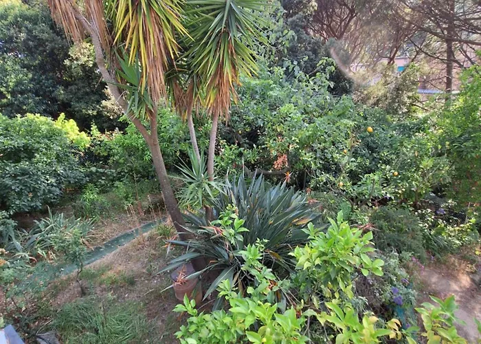 Apartmán Terrace On The *