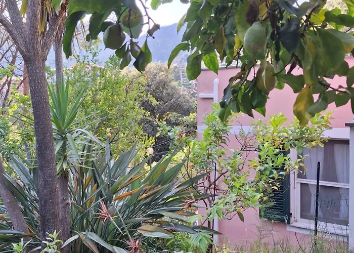 Apartment Terrace On The *