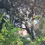Terrace On The * Monterosso al Mare
