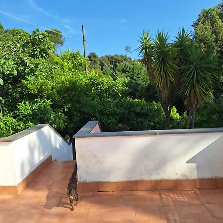 Terrace On The