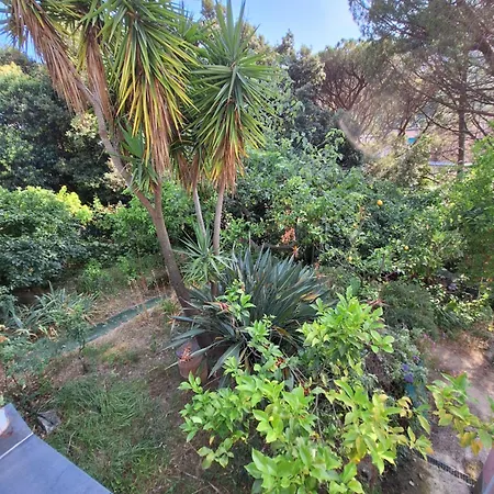Appartement Terrace On The *